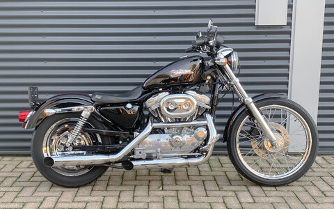 *Sportster xl 883 c 1999