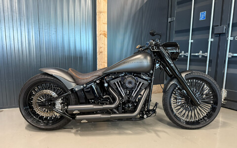 *Softail Custom 2004