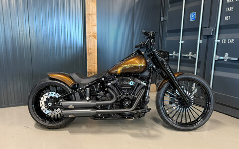 Custom Fat Boy 114 2023