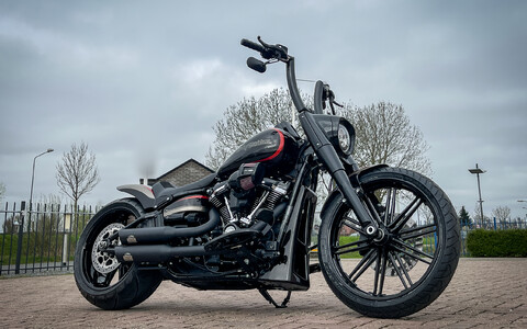  Brute Force Custom bike