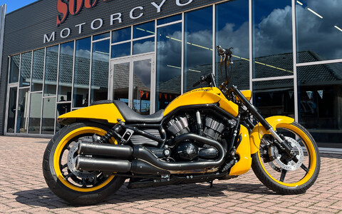 Black and Yellow Night Rod