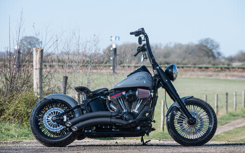 Heritage softail classic 2009