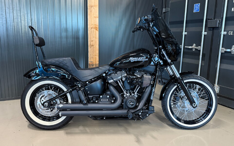 FXBB Street Bob 2019