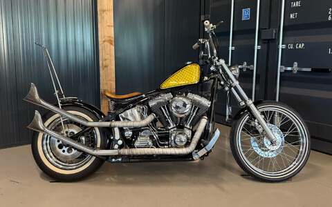 Custom bobber 2001