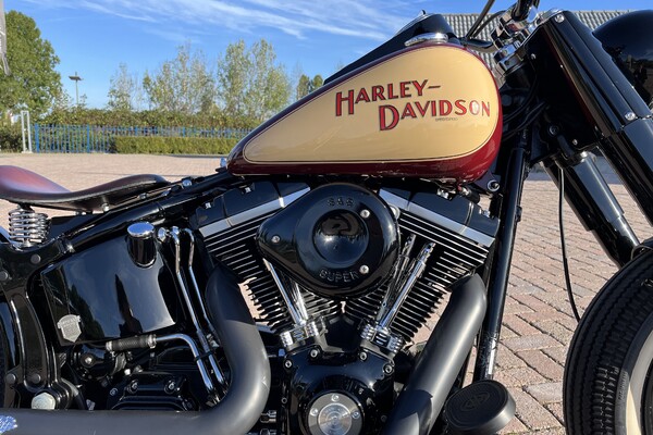 Custom Harley Davidson Paintworks