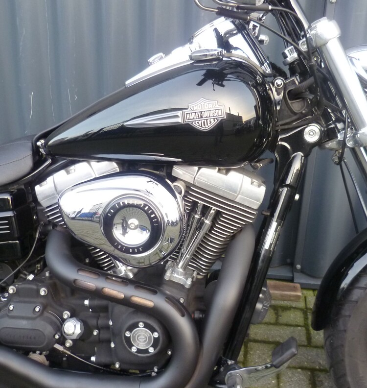 Fatbob Custom 2010