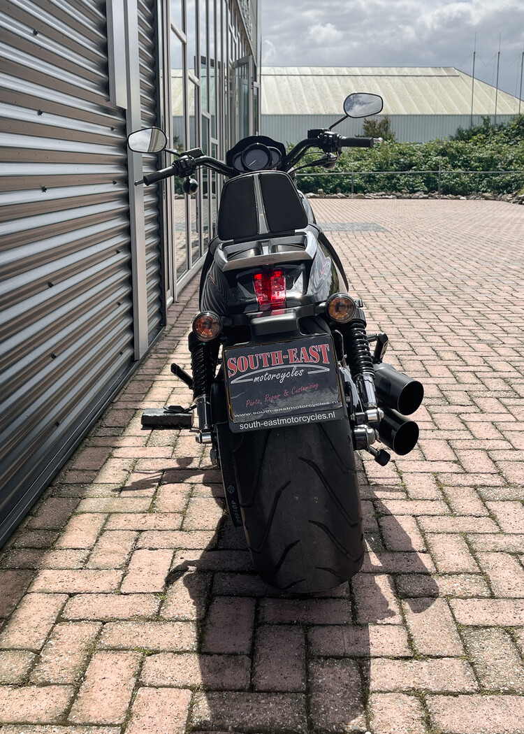 *Night Rod Special 2009 VRSCDX