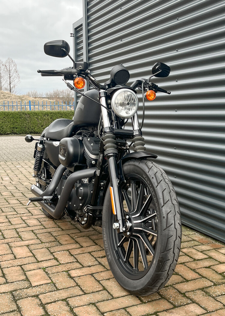 *Sportster iron 2015 XL883N