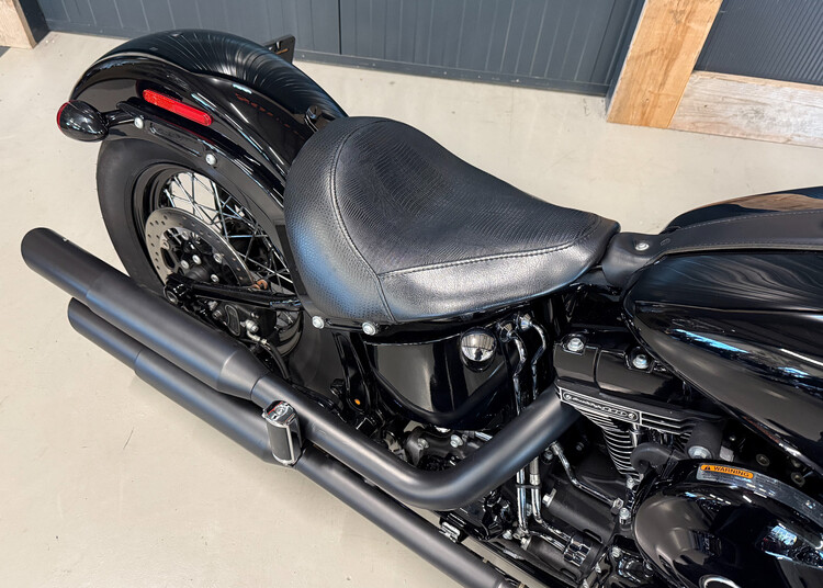 *FLS-S Softail Slim S 110CU 2016