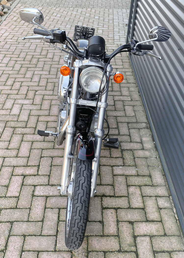 *Sportster xl 883 c 1999