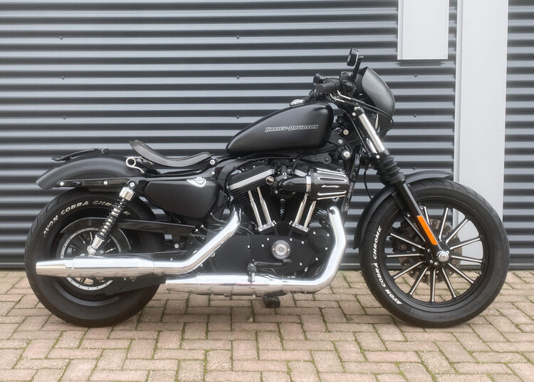 *Sportster Iron 2010 XL 883 N
