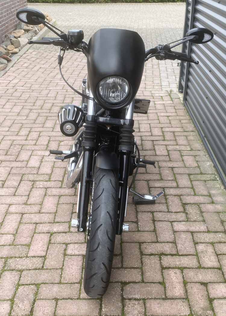 *Sportster Iron 2010 XL 883 N