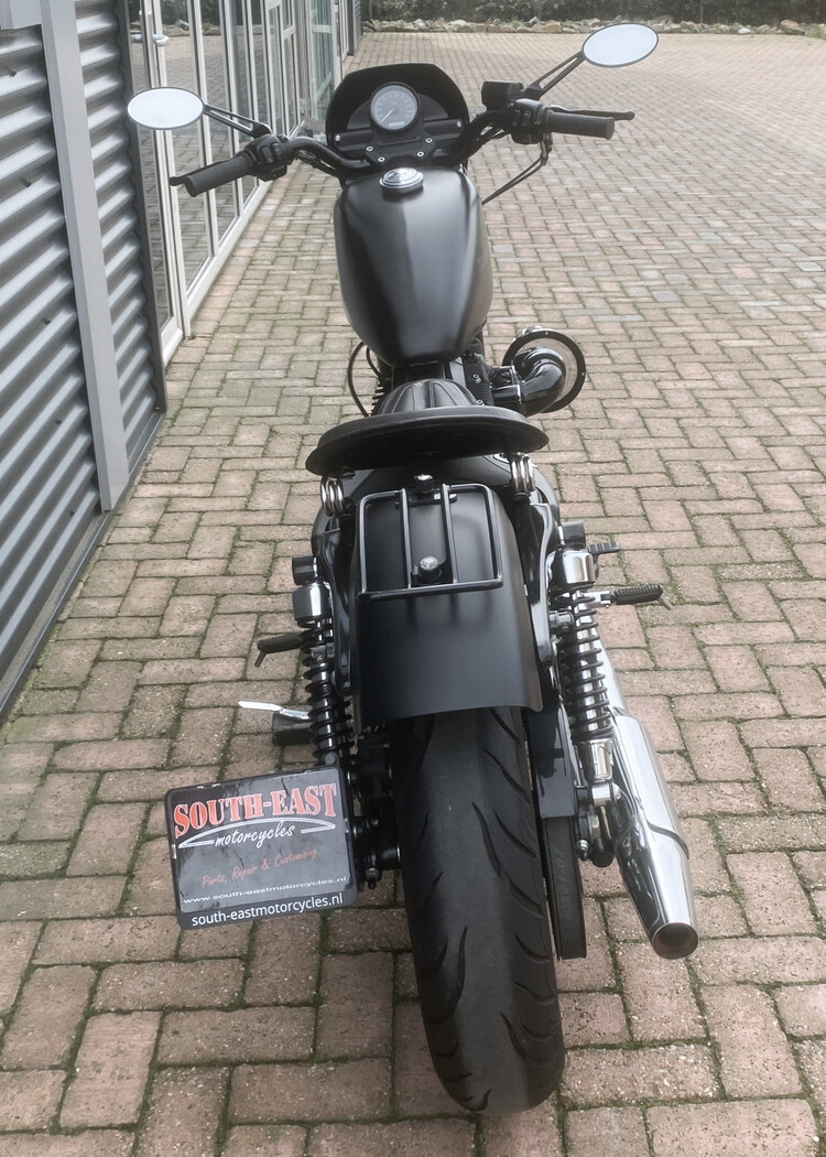 *Sportster Iron 2010 XL 883 N