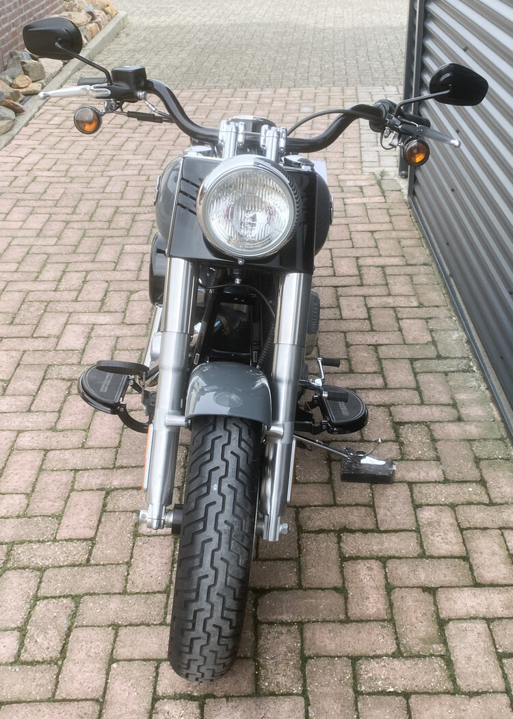 *Softail Slim 2015 FLS