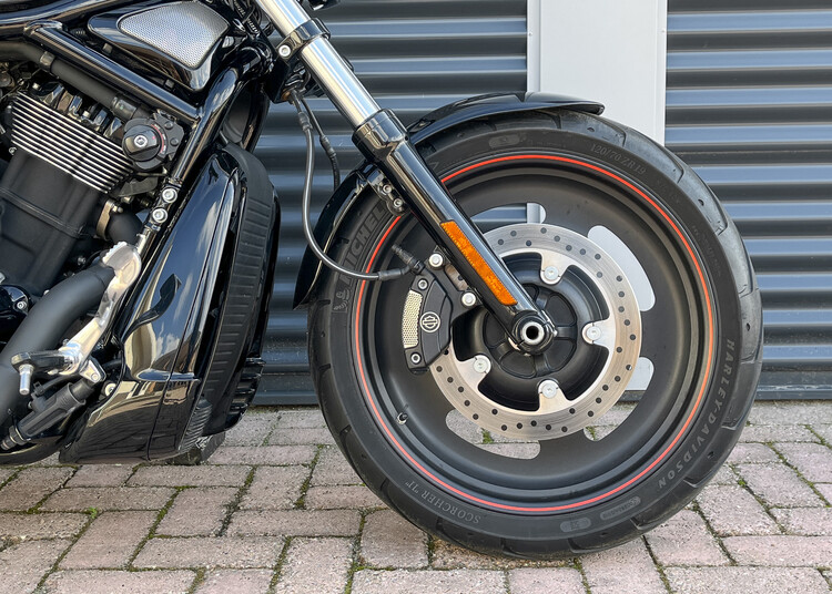 Night Rod 2008 VRSCDX