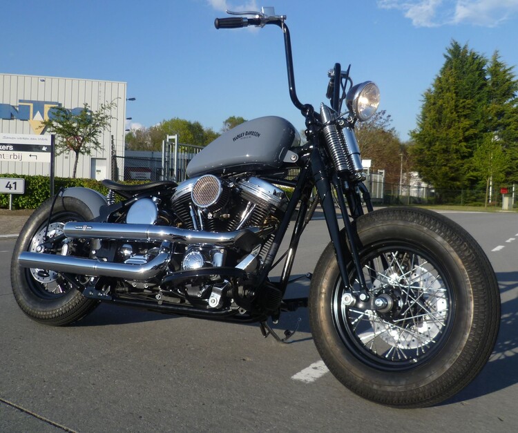 Old Skool Bobber