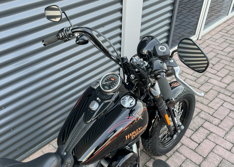 Crossbone 2008 FXSTB