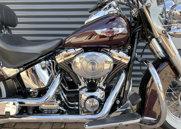 *Softail Deluxe 2005
