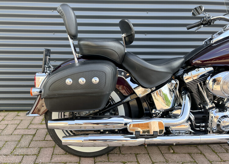 *Softail Deluxe 2005