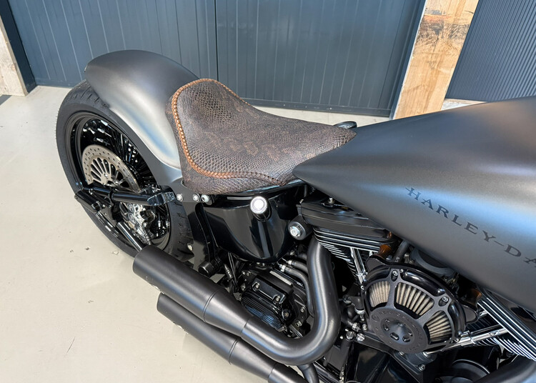 *Softail Custom 2004