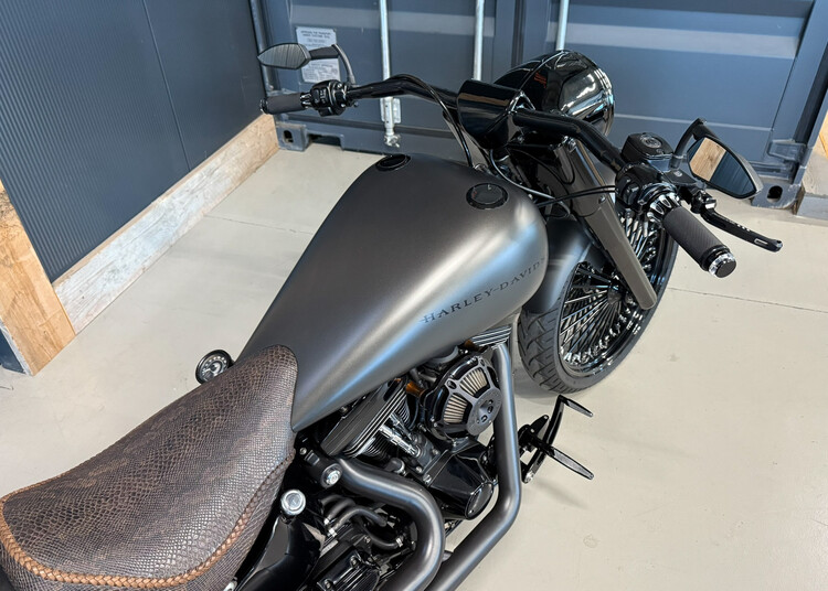 *Softail Custom 2004