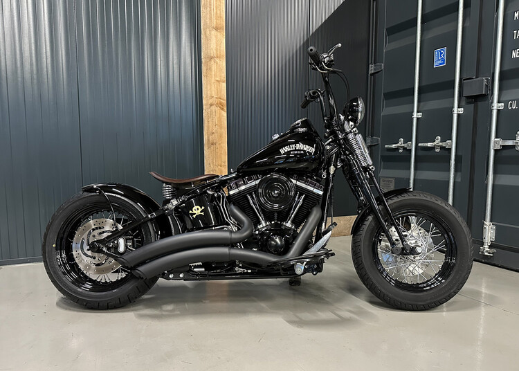 'Vivid Voltage' Custom Crossbone 2010