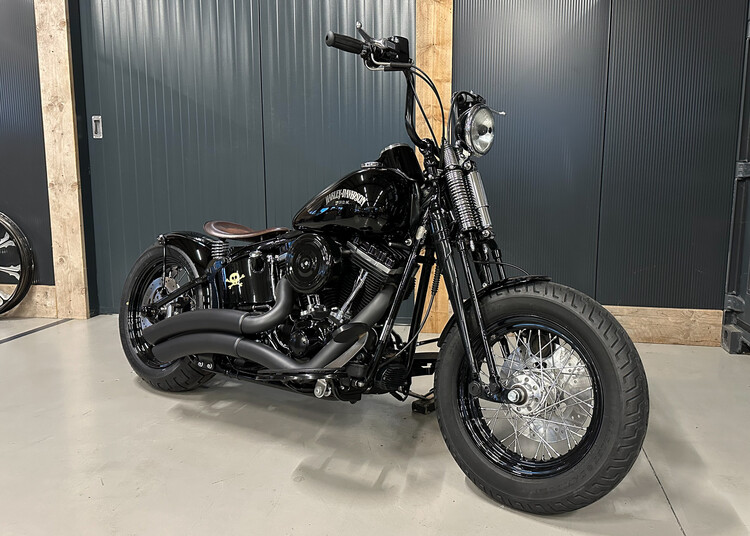 'Vivid Voltage' Custom Crossbone 2010