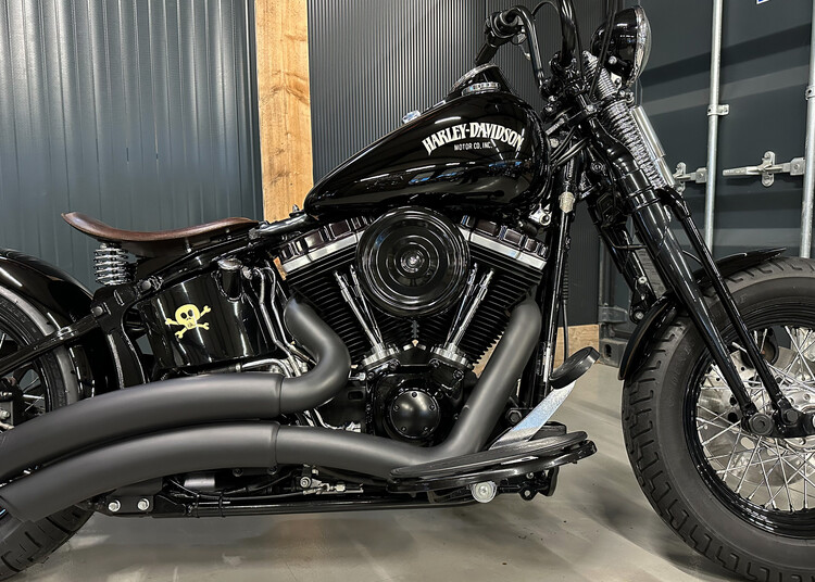 'Vivid Voltage' Custom Crossbone 2010