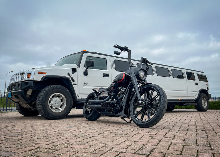  Brute Force Custom bike