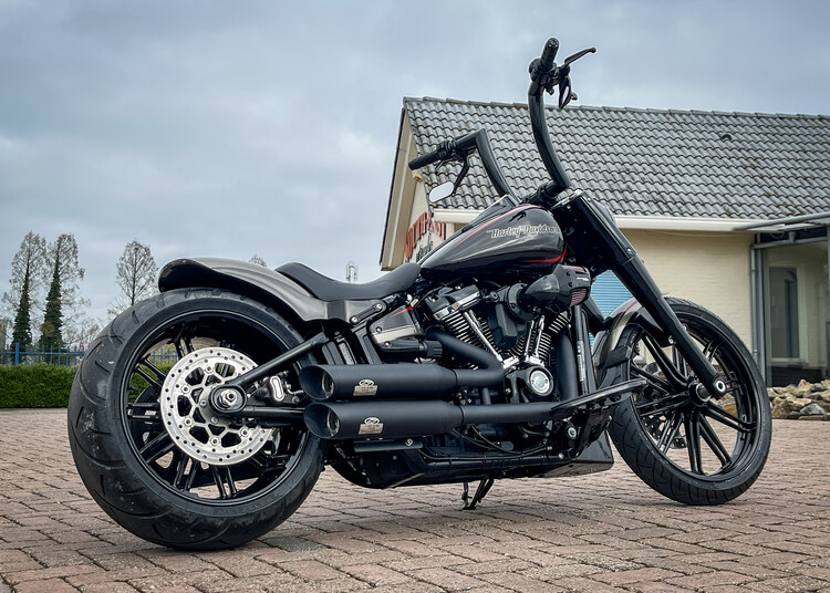  Brute Force Custom bike