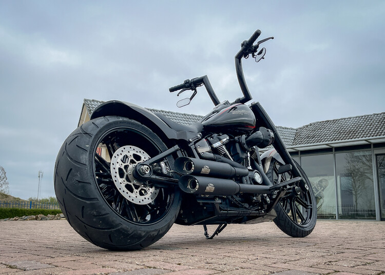  Brute Force Custom bike