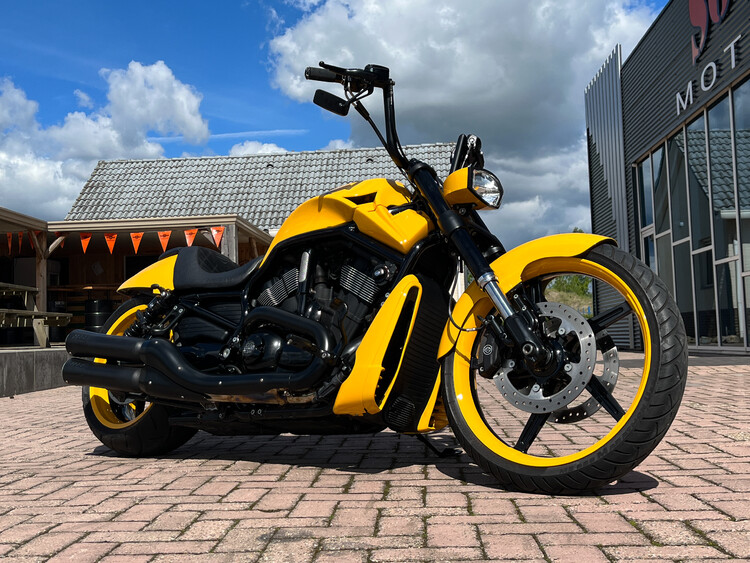 Black and Yellow Night Rod