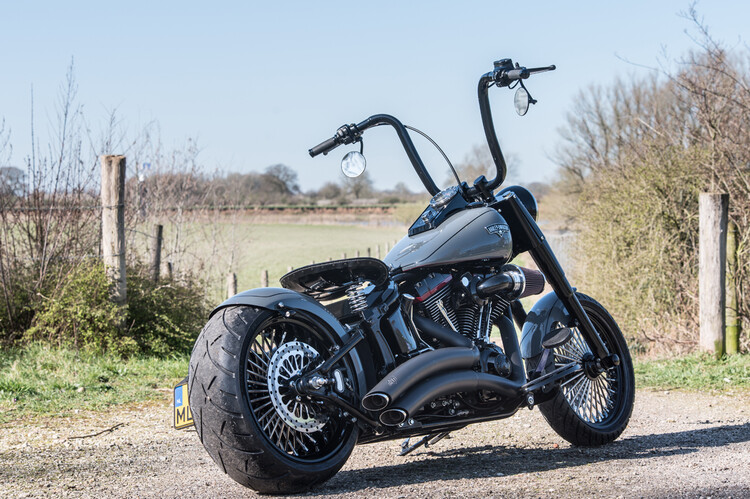 Heritage softail classic 2009 Custom