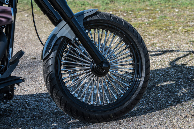 Heritage softail classic 2009 Custom