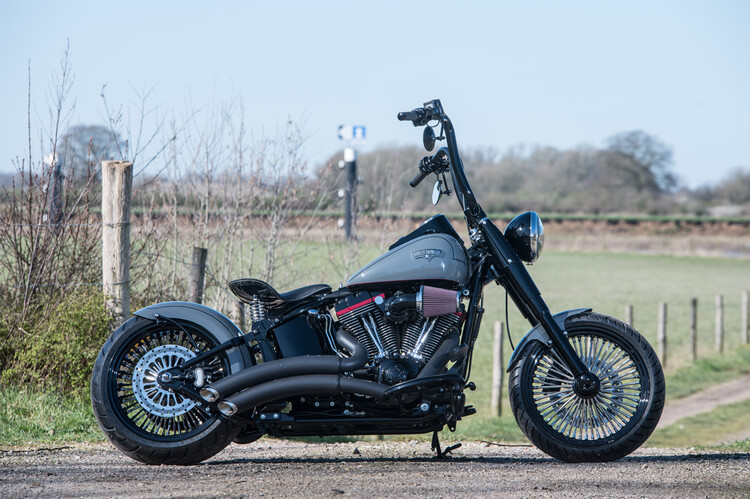 Heritage softail classic 2009 Custom