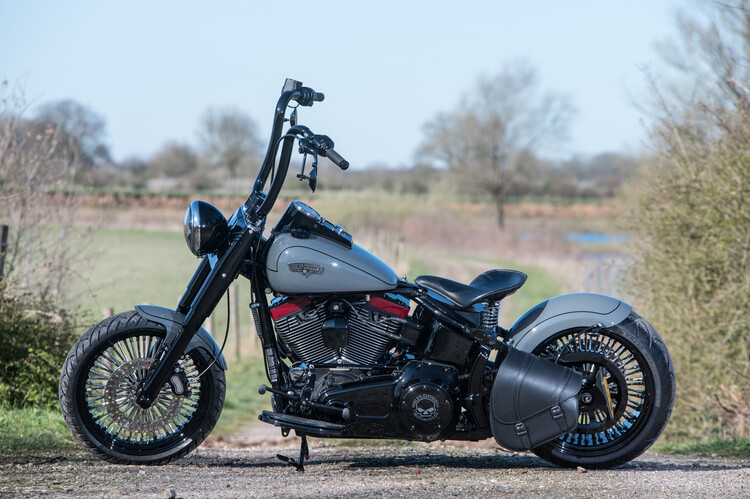 Heritage softail classic 2009 Custom