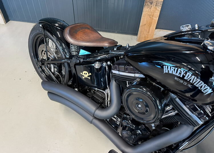 FLSTSB Crossbone 2010 'Vivid Voltage' Custom