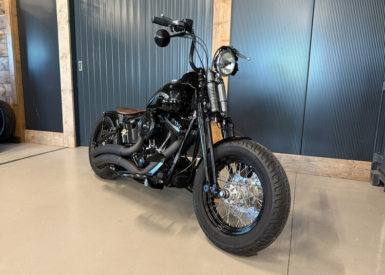 FLSTSB Crossbone 2010 'Vivid Voltage' Custom