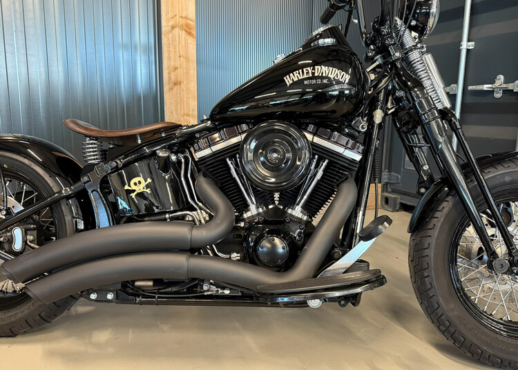 FLSTSB Crossbone 2010 'Vivid Voltage' Custom