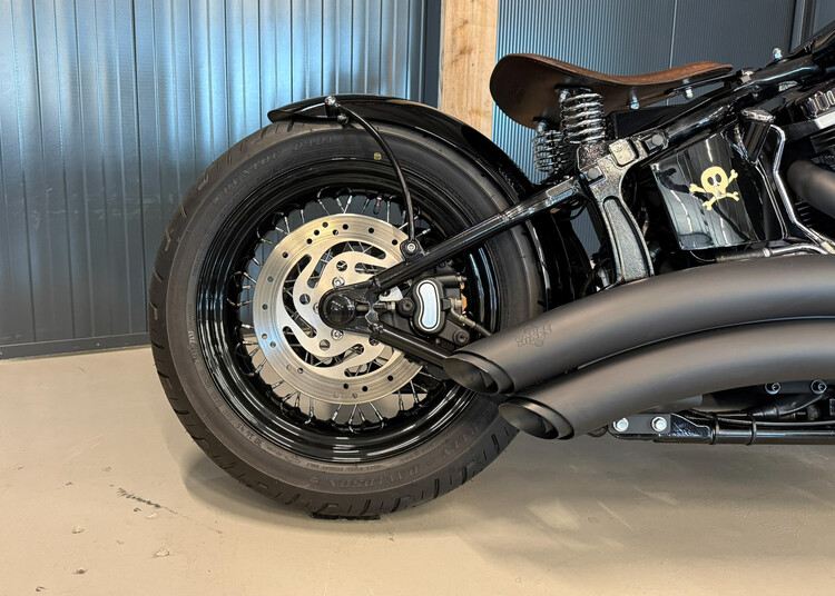 FLSTSB Crossbone 2010 'Vivid Voltage' Custom