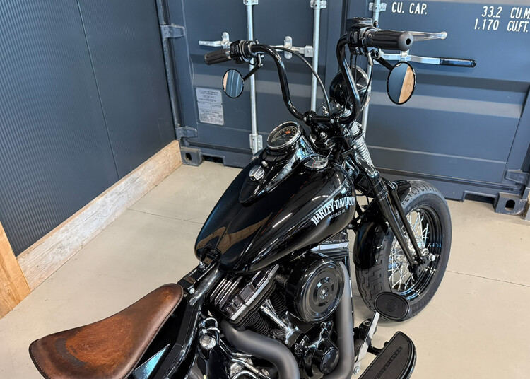 FLSTSB Crossbone 2010 'Vivid Voltage' Custom