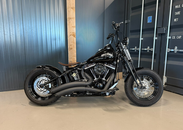 FLSTSB Crossbone 2010 'Vivid Voltage' Custom