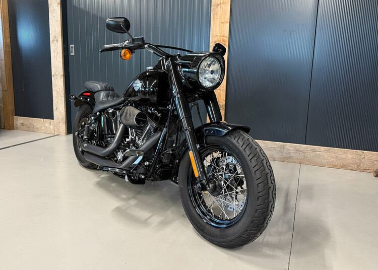 Flss Softail Slim S 110 2016