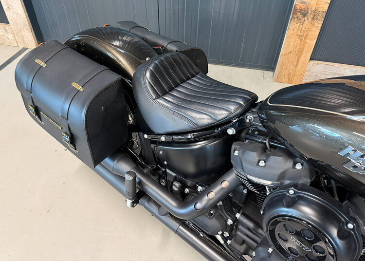 FXBB Street Bob 107 - 2019
