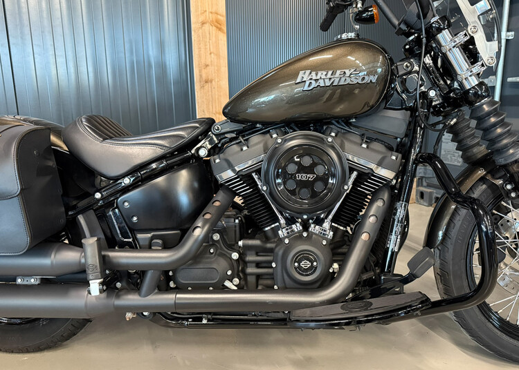 FXBB Street Bob 107 - 2019