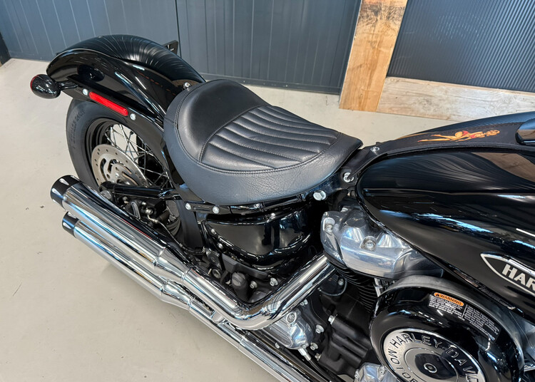 FLS Softail Slim 2019