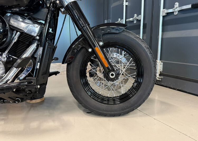 FLS Softail Slim 2019