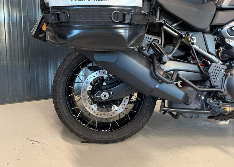 Pan America Special 1250 2023