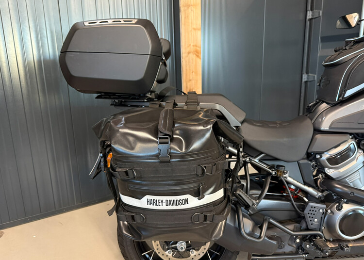 Pan America Special 1250 2023