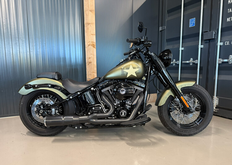 FLS S Softail Slim S 110 2016